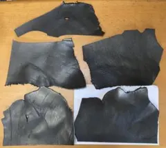 Item thumbnail for item 76ab5cff-062e-49ce-b825-b385ab4ab4c2