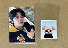 StrayKids スンミン トレカ TOY WORLD 特典 DVD