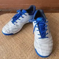 アンブロ　アクセレイター　フットサルシューズ 23cm