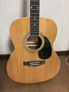 HONEY BEE アコースティックギター F-15