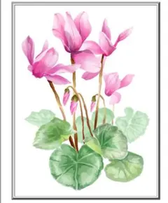 趣味は貯金様 リクエストご確認用