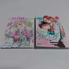 りぼん　別冊マーガレット付録　いろいろ りぼん 別冊マーガレット 3月号 付録 銀魂 クリアカード 喜怒哀楽