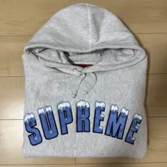 Supreme 20aw パーカー