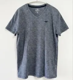Hollister グレー Tシャツ