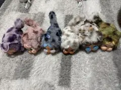 cry baby wild but cutie