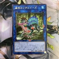 2025年最新】カード種別：モンスターカード 遊戯王OCG デュエル