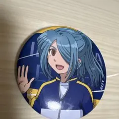 い*み様 イナズマイレブン イナイレ フレフレンズ 風丸一郎太 缶バッジ