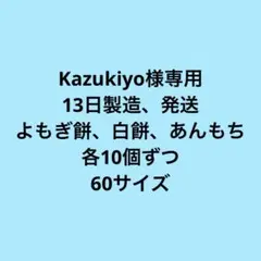 Kazukiyo様専用　13日製造、発送　よもぎ餅、白餅、あんもち