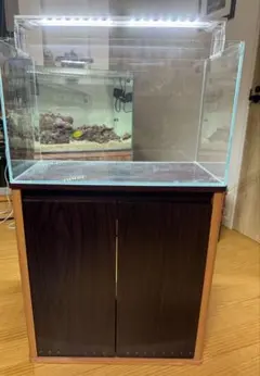 引き取り限定　ADA 60cm ワイド水槽 水槽台セット ADA キューブガーデン60水槽 アクアデザインアマノ 水草水槽