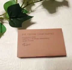 ettusais(エテュセ) アイエディション (カラーパレット)