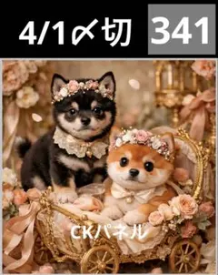 新柄♥️期間限定レアパネル生地　パネル生地　6柄セット　CKパネル