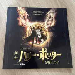 舞台 ハリー・ポッターと呪いの子 パンフレット