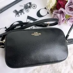 美品✨】コーチ coachテンプシーカメラバッグ ショルダーバッグ レザー