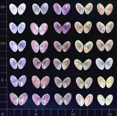 桜貝【合貝】30組(穴無し) ①