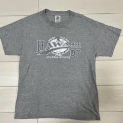 DELTA PRO WEIGHT ハワイプリント Tシャツ グレー M