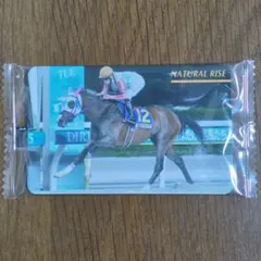 2026年最新】まねき馬倶楽部の人気アイテム - メルカリ