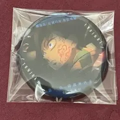 鬼滅の刃無限城編ものがたる眼差しコレクション缶バッジA冨岡義勇