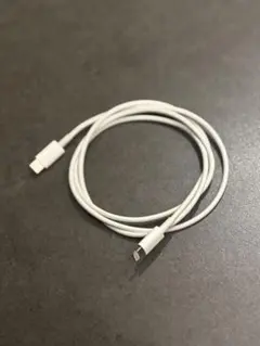 Apple純正 Lightning to USB type C ケーブル 約1m