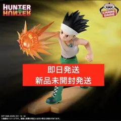 HUNTER×HUNTER フィギュア-ゴン-G.I.編