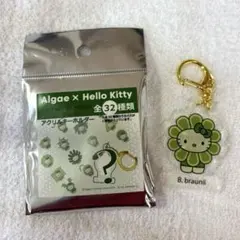 EXPO2025 大阪万博 日本館 藻キティ キーホルダー B. braunii