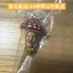 こびとづかん めじるしフレンズ ベニキノコビト