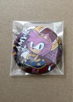 TGS2025 DC X SONIC ソニック　缶バッジ　エミー