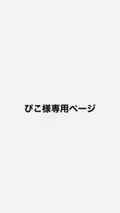 専用ページ