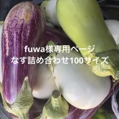 fuwa様専用ページ なす詰め合わせ　100サイズ