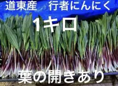 行者ニンニク　スーパーフードのサムネイル