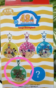 ディズニーランド 43周年　デール　キーチェーン