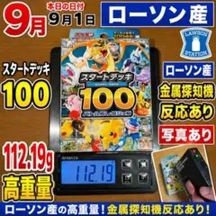 ポケモンカードゲーム スタートデッキ100 112.19g