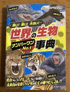 水芙蓉様 リクエスト 3点 まとめ商品