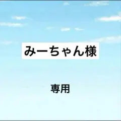 アメステ　みーちゃん様