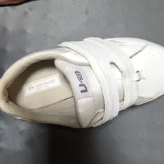 Item thumbnail for item 7afa93d0-df60-4e6c-8fe9-b70b54b6e913