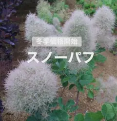 RY.《値下げ対応相談◎》様 リクエスト 2点 まとめ商品