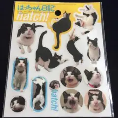 2026年最新】はっちゃん日記の人気アイテム - メルカリ