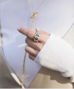 PHILIPPE AUDIBERT シルバーリング BEAMS 未使用 保存袋付のサムネイル