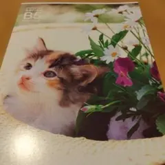 Item thumbnail for item 114d0795-3029-4f33-b833-a513a82f3844