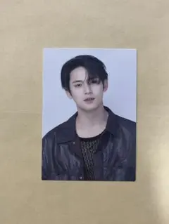 SEVENTEEN FOLLOW TO JAPAN フーディートレカ ミンギュ