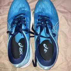 【即購入歓迎】アシックスランニングシューズ エボライドスピード2 メンズ25.0