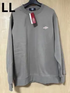 Item thumbnail for item 93df7f91-30d4-4b1e-9d2e-d2e83bef2c23