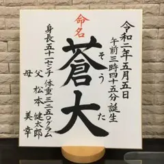 命名書・色紙サイズ　毛筆　手書きオーダーのサムネイル