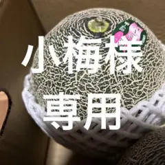 小梅さま専用　おまかせ