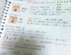 看護師国家試験