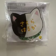 WIND BREAKER 桜遥 ナンジャタウン アクリルネームバッジ ウィンブレ