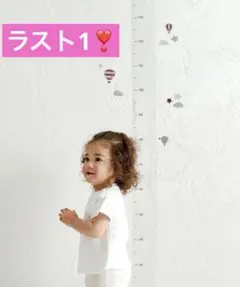 《WEB限定商品》ウォールステッカー　成長身長記録3coins