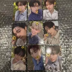 ヨントン MusicKorea 花トレカ ゼベワンコンプ