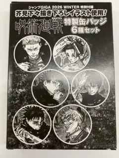 呪術廻戦　付録缶バッジ6種セット