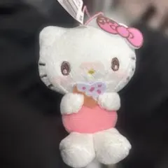 e*y様 mikko×sanrio キティー ドーナツデザイン サンリオミッコ