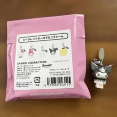 신품 산리오 ハウス シークレットオーロラミニチャーム 쿠로미 即匿名発送